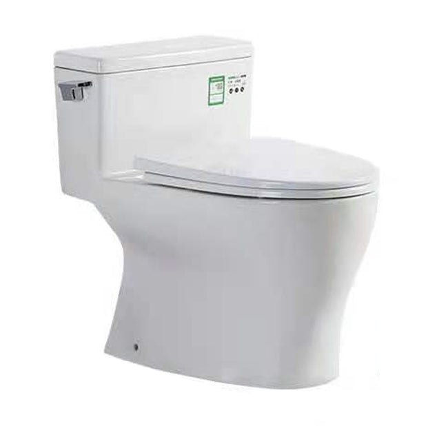 Modern Ceramic Siphon Jet Toilet Bowl Floor Mount Flush Toilet with Toilet Seat Clearhalo 'Bathroom Remodel & Bathroom Fixtures' 'Home Improvement' 'home_improvement' 'home_improvement_toilets' 'Toilets & Bidets' 'Toilets' 6214018