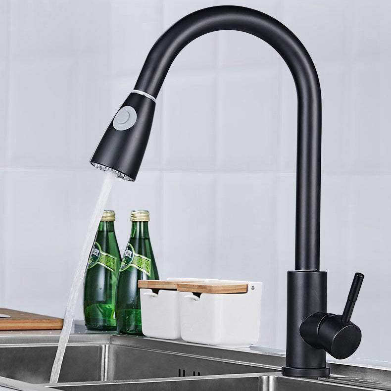 Modern 1-Handle Faucet 304 Stainless Steel with Water Dispenser Pull down Faucet Black Clearhalo 'Home Improvement' 'home_improvement' 'home_improvement_kitchen_faucets' 'Kitchen Faucets' 'Kitchen Remodel & Kitchen Fixtures' 'Kitchen Sinks & Faucet Components' 'kitchen_faucets' 6227265
