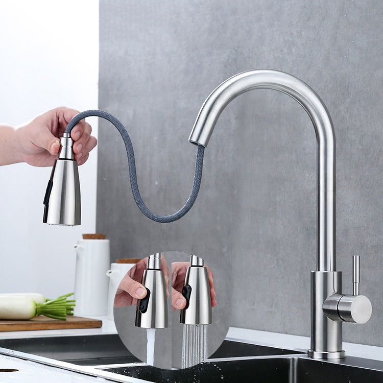 Modern 1-Handle Faucet 304 Stainless Steel with Water Dispenser Pull down Faucet Silver Clearhalo 'Home Improvement' 'home_improvement' 'home_improvement_kitchen_faucets' 'Kitchen Faucets' 'Kitchen Remodel & Kitchen Fixtures' 'Kitchen Sinks & Faucet Components' 'kitchen_faucets' 6227266