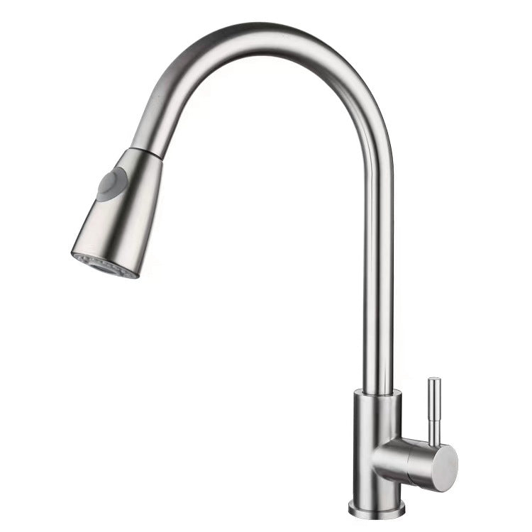 Modern 1-Handle Faucet 304 Stainless Steel with Water Dispenser Pull down Faucet Clearhalo 'Home Improvement' 'home_improvement' 'home_improvement_kitchen_faucets' 'Kitchen Faucets' 'Kitchen Remodel & Kitchen Fixtures' 'Kitchen Sinks & Faucet Components' 'kitchen_faucets' 6227269