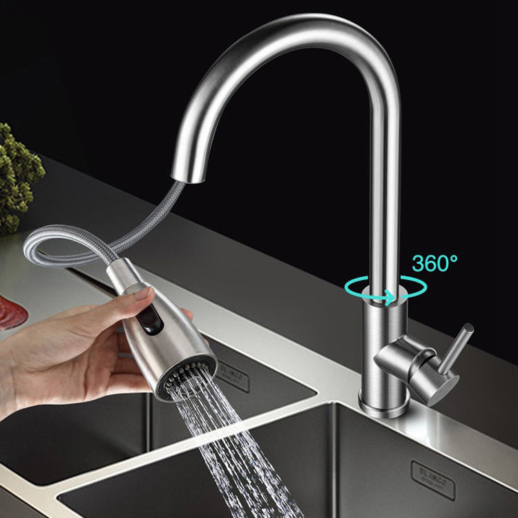 Modern 1-Handle Faucet 304 Stainless Steel with Water Dispenser Pull down Faucet Clearhalo 'Home Improvement' 'home_improvement' 'home_improvement_kitchen_faucets' 'Kitchen Faucets' 'Kitchen Remodel & Kitchen Fixtures' 'Kitchen Sinks & Faucet Components' 'kitchen_faucets' 6227271
