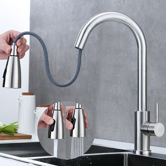 Modern 1-Handle Faucet 304 Stainless Steel with Water Dispenser Pull down Faucet Clearhalo 'Home Improvement' 'home_improvement' 'home_improvement_kitchen_faucets' 'Kitchen Faucets' 'Kitchen Remodel & Kitchen Fixtures' 'Kitchen Sinks & Faucet Components' 'kitchen_faucets' 6227275