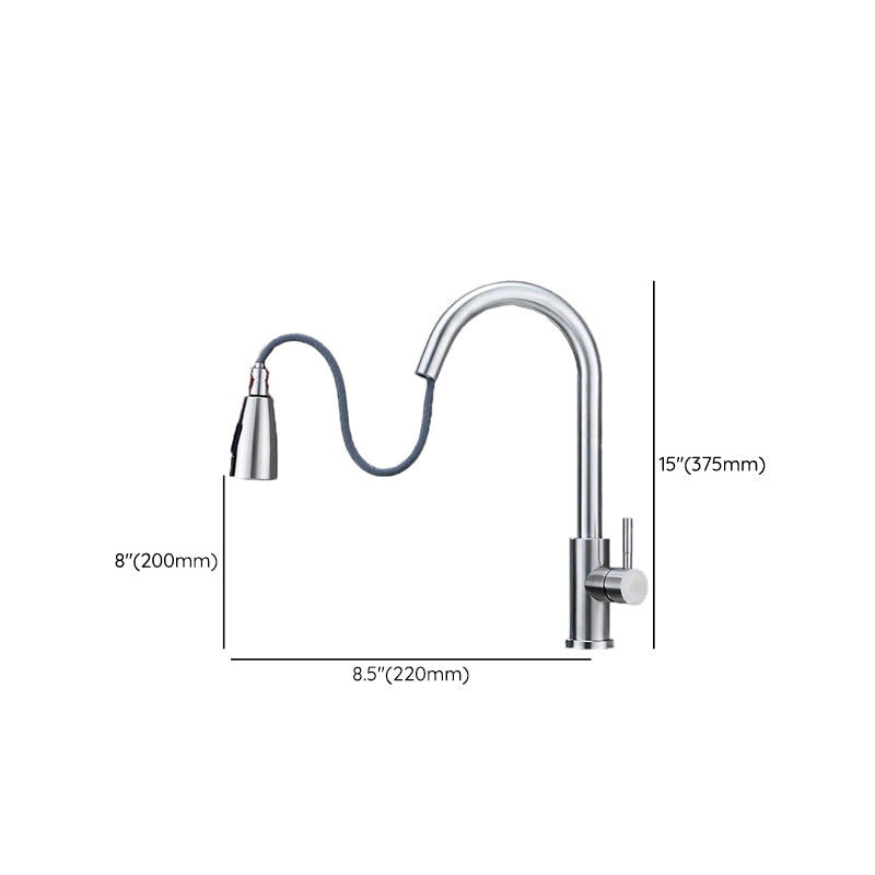 Modern 1-Handle Faucet 304 Stainless Steel with Water Dispenser Pull down Faucet Clearhalo 'Home Improvement' 'home_improvement' 'home_improvement_kitchen_faucets' 'Kitchen Faucets' 'Kitchen Remodel & Kitchen Fixtures' 'Kitchen Sinks & Faucet Components' 'kitchen_faucets' 6227278