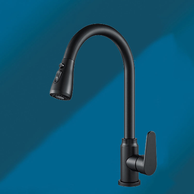 Modern 1-Handle Faucet with Pull out Sprayer with Water Dispenser Copper Faucet Black Clearhalo 'Home Improvement' 'home_improvement' 'home_improvement_kitchen_faucets' 'Kitchen Faucets' 'Kitchen Remodel & Kitchen Fixtures' 'Kitchen Sinks & Faucet Components' 'kitchen_faucets' 6227330