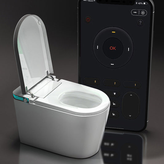 Modern Heated Seat Toilet Bowl Floor Mount Skirted Toilet with Toilet Seat Clearhalo 'Bathroom Remodel & Bathroom Fixtures' 'Home Improvement' 'home_improvement' 'home_improvement_toilets' 'Toilets & Bidets' 'Toilets' 6229193
