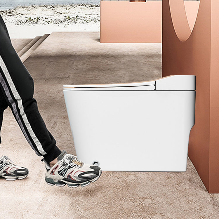 Modern Siphon Jet Toilet Concealed Tank Flush Toilet with Toilet Seat Clearhalo 'Bathroom Remodel & Bathroom Fixtures' 'Home Improvement' 'home_improvement' 'home_improvement_toilets' 'Toilets & Bidets' 'Toilets' 6229238