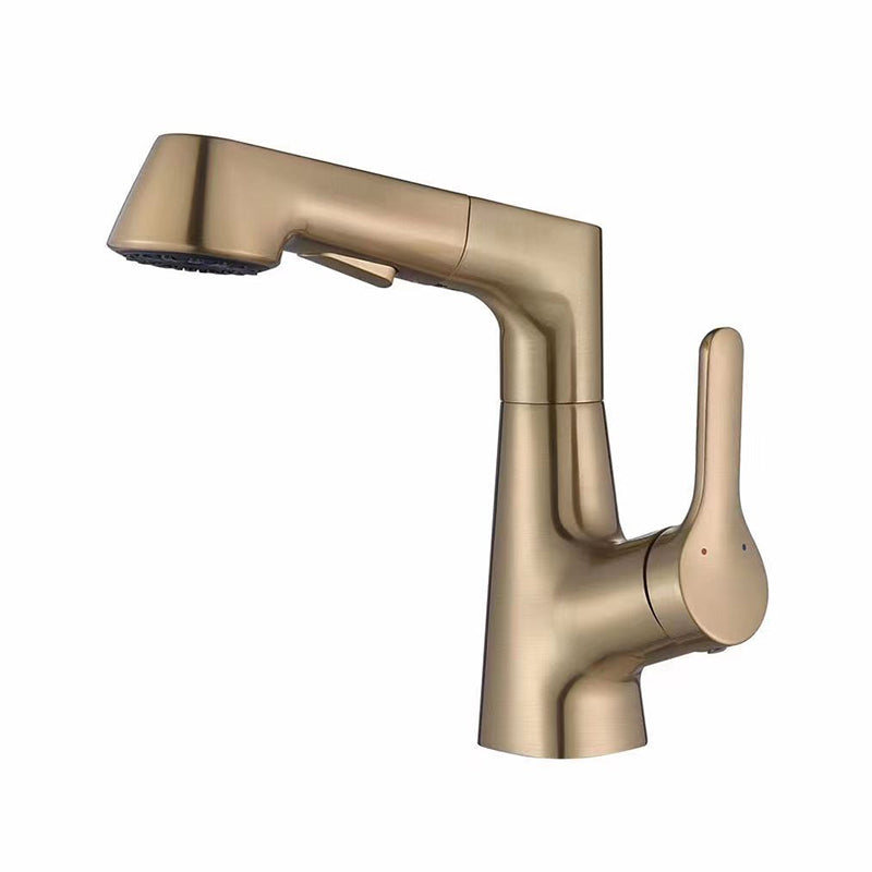 Modern Faucet 1-Handle and 1-Hole Copper with Pull out Sprayer Faucet Gold Clearhalo 'Home Improvement' 'home_improvement' 'home_improvement_kitchen_faucets' 'Kitchen Faucets' 'Kitchen Remodel & Kitchen Fixtures' 'Kitchen Sinks & Faucet Components' 'kitchen_faucets' 6255588