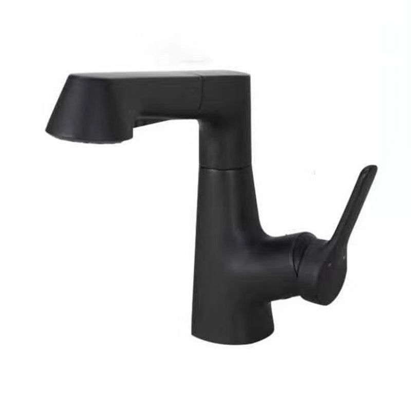 Modern Faucet 1-Handle and 1-Hole Copper with Pull out Sprayer Faucet Black Clearhalo 'Home Improvement' 'home_improvement' 'home_improvement_kitchen_faucets' 'Kitchen Faucets' 'Kitchen Remodel & Kitchen Fixtures' 'Kitchen Sinks & Faucet Components' 'kitchen_faucets' 6255594