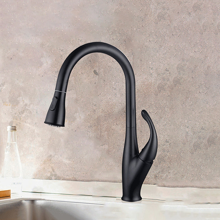 Modern 1-Handle Faucet Black/Silver Copper with Pull out Sprayer Faucet Black Clearhalo 'Home Improvement' 'home_improvement' 'home_improvement_kitchen_faucets' 'Kitchen Faucets' 'Kitchen Remodel & Kitchen Fixtures' 'Kitchen Sinks & Faucet Components' 'kitchen_faucets' 6255620
