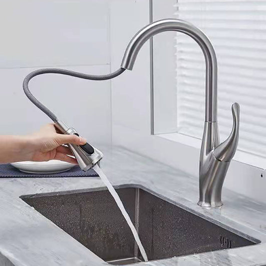 Modern 1-Handle Faucet Black/Silver Copper with Pull out Sprayer Faucet Clearhalo 'Home Improvement' 'home_improvement' 'home_improvement_kitchen_faucets' 'Kitchen Faucets' 'Kitchen Remodel & Kitchen Fixtures' 'Kitchen Sinks & Faucet Components' 'kitchen_faucets' 6255637