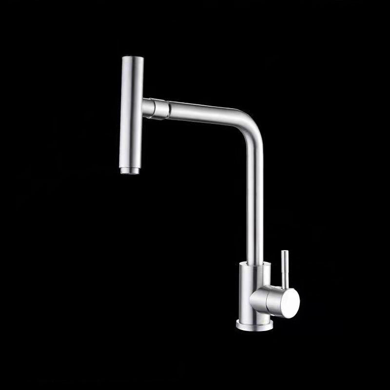 1-Handle Faucets with Water Dispenser Stainless Steel Standard Kitchen Faucets Clearhalo 'Home Improvement' 'home_improvement' 'home_improvement_kitchen_faucets' 'Kitchen Faucets' 'Kitchen Remodel & Kitchen Fixtures' 'Kitchen Sinks & Faucet Components' 'kitchen_faucets' 6272562