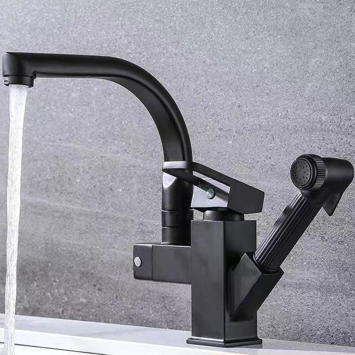 Modern 1-Handle Faucet with Water Dispenser with Pull out Sprayer Faucet Clearhalo 'Home Improvement' 'home_improvement' 'home_improvement_kitchen_faucets' 'Kitchen Faucets' 'Kitchen Remodel & Kitchen Fixtures' 'Kitchen Sinks & Faucet Components' 'kitchen_faucets' 6272567