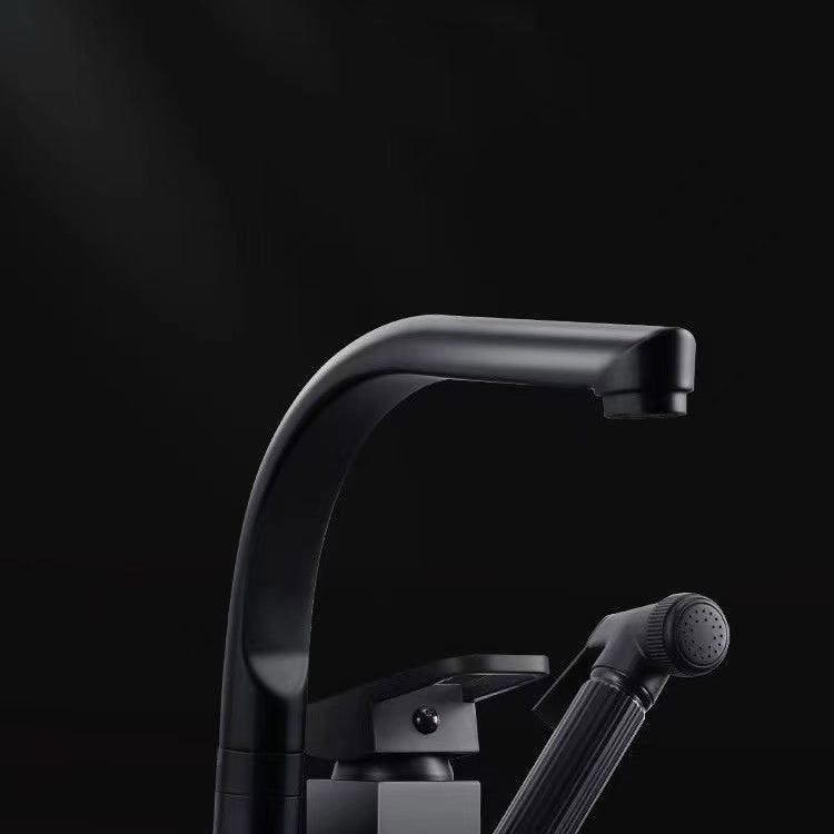 Modern 1-Handle Faucet with Water Dispenser with Pull out Sprayer Faucet Clearhalo 'Home Improvement' 'home_improvement' 'home_improvement_kitchen_faucets' 'Kitchen Faucets' 'Kitchen Remodel & Kitchen Fixtures' 'Kitchen Sinks & Faucet Components' 'kitchen_faucets' 6272570