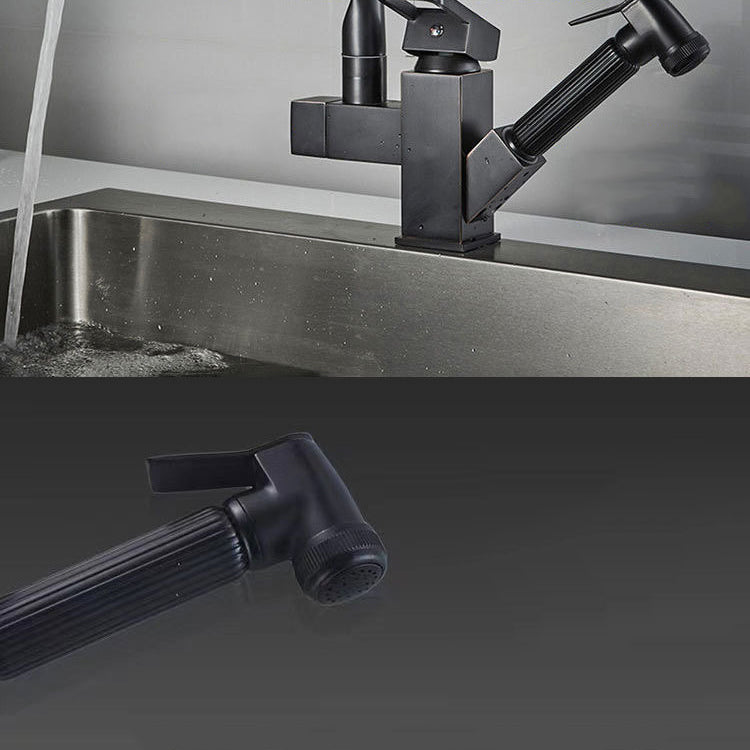 Modern 1-Handle Faucet with Water Dispenser with Pull out Sprayer Faucet Clearhalo 'Home Improvement' 'home_improvement' 'home_improvement_kitchen_faucets' 'Kitchen Faucets' 'Kitchen Remodel & Kitchen Fixtures' 'Kitchen Sinks & Faucet Components' 'kitchen_faucets' 6272572