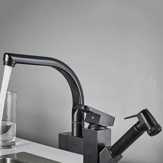 Modern 1-Handle Faucet with Water Dispenser with Pull out Sprayer Faucet Clearhalo 'Home Improvement' 'home_improvement' 'home_improvement_kitchen_faucets' 'Kitchen Faucets' 'Kitchen Remodel & Kitchen Fixtures' 'Kitchen Sinks & Faucet Components' 'kitchen_faucets' 6272579