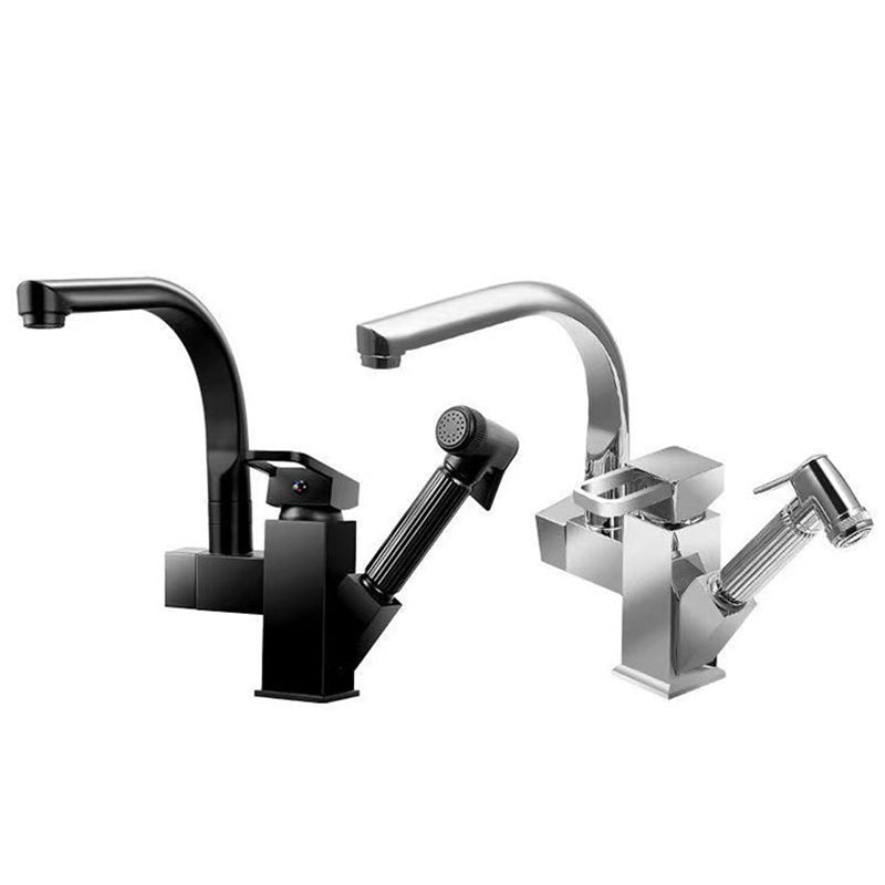 Modern 1-Handle Faucet with Water Dispenser with Pull out Sprayer Faucet Clearhalo 'Home Improvement' 'home_improvement' 'home_improvement_kitchen_faucets' 'Kitchen Faucets' 'Kitchen Remodel & Kitchen Fixtures' 'Kitchen Sinks & Faucet Components' 'kitchen_faucets' 6272583