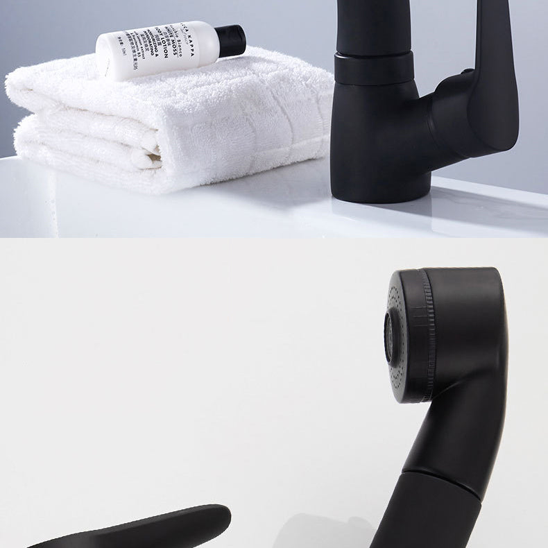 Modern 1-Handle Faucet 1-Hole with Water Dispenser Copper Pull down Faucet Clearhalo 'Home Improvement' 'home_improvement' 'home_improvement_kitchen_faucets' 'Kitchen Faucets' 'Kitchen Remodel & Kitchen Fixtures' 'Kitchen Sinks & Faucet Components' 'kitchen_faucets' 6272598