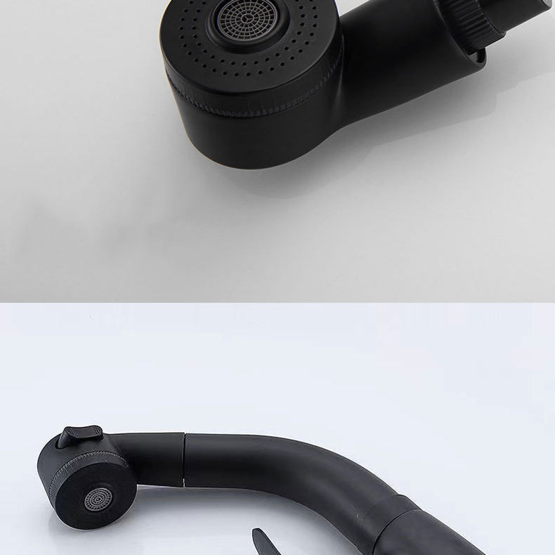 Modern 1-Handle Faucet 1-Hole with Water Dispenser Copper Pull down Faucet Clearhalo 'Home Improvement' 'home_improvement' 'home_improvement_kitchen_faucets' 'Kitchen Faucets' 'Kitchen Remodel & Kitchen Fixtures' 'Kitchen Sinks & Faucet Components' 'kitchen_faucets' 6272603