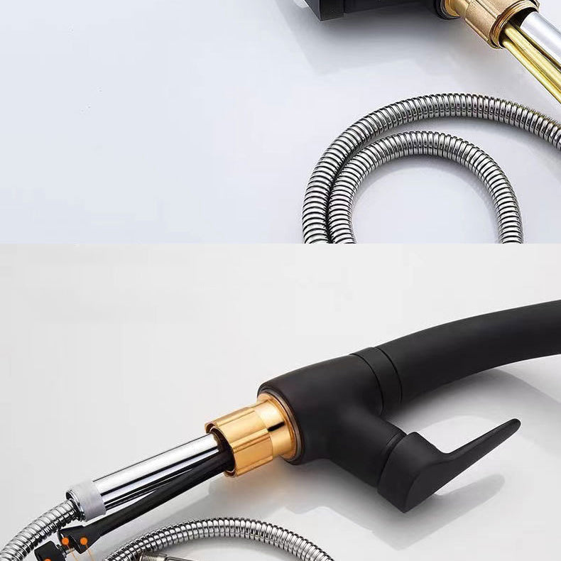 Modern 1-Handle Faucet 1-Hole with Water Dispenser Copper Pull down Faucet Clearhalo 'Home Improvement' 'home_improvement' 'home_improvement_kitchen_faucets' 'Kitchen Faucets' 'Kitchen Remodel & Kitchen Fixtures' 'Kitchen Sinks & Faucet Components' 'kitchen_faucets' 6272604