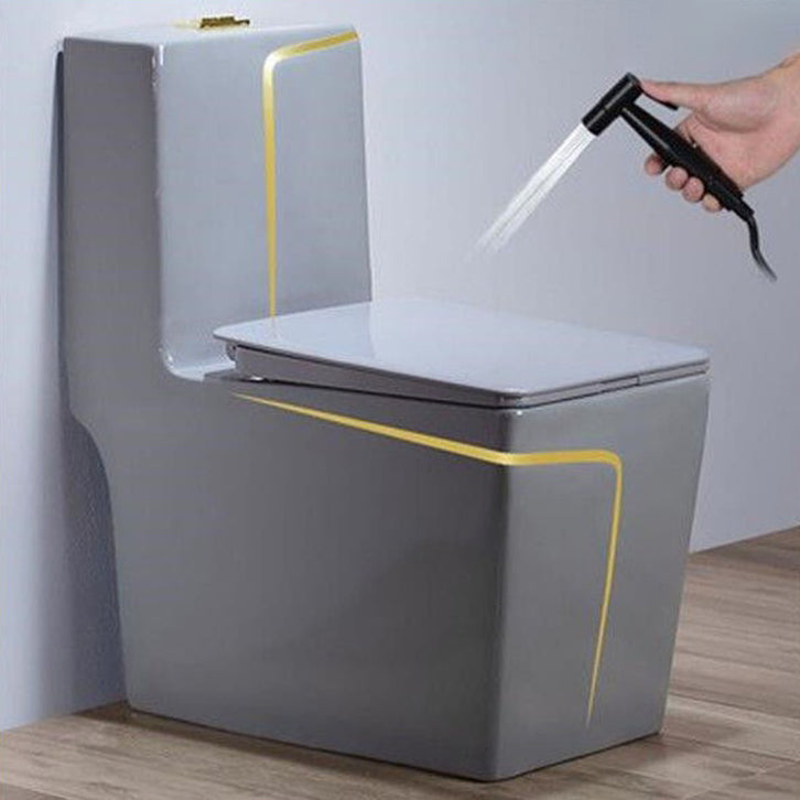 Traditional Floor Mounted Urine Toilet Siphon Jet Toilet Bowl with Toilet Seat Grey Gold Toilet with Sprayer Clearhalo 'Bathroom Remodel & Bathroom Fixtures' 'Home Improvement' 'home_improvement' 'home_improvement_toilets' 'Toilets & Bidets' 'Toilets' 6274770