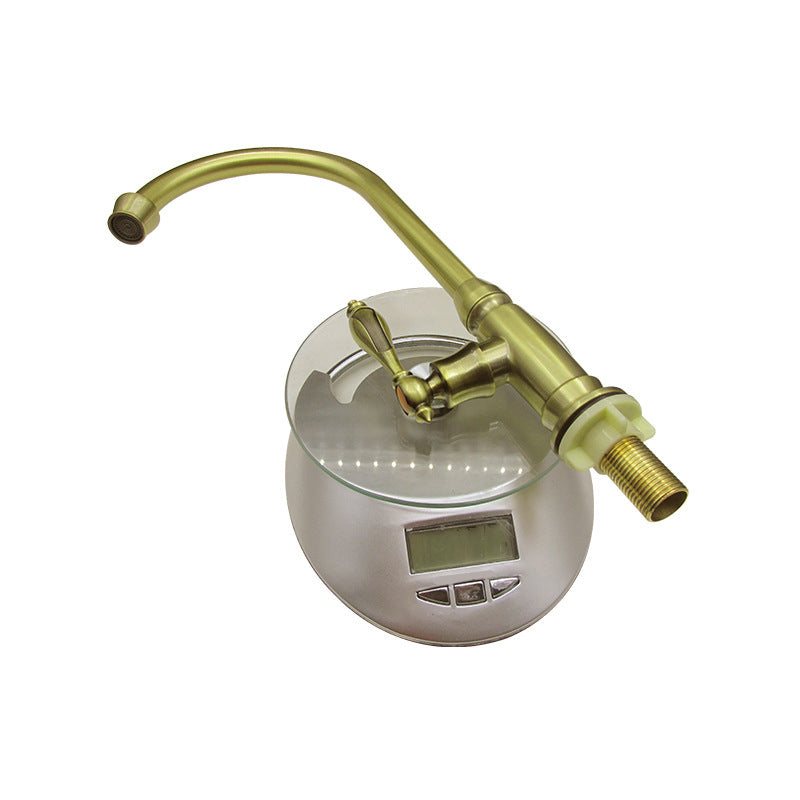 Traditional 2-Function Kitchen Faucet 1-Handle 1-Hole Faucet in Bronze Clearhalo 'Home Improvement' 'home_improvement' 'home_improvement_kitchen_faucets' 'Kitchen Faucets' 'Kitchen Remodel & Kitchen Fixtures' 'Kitchen Sinks & Faucet Components' 'kitchen_faucets' 6284798