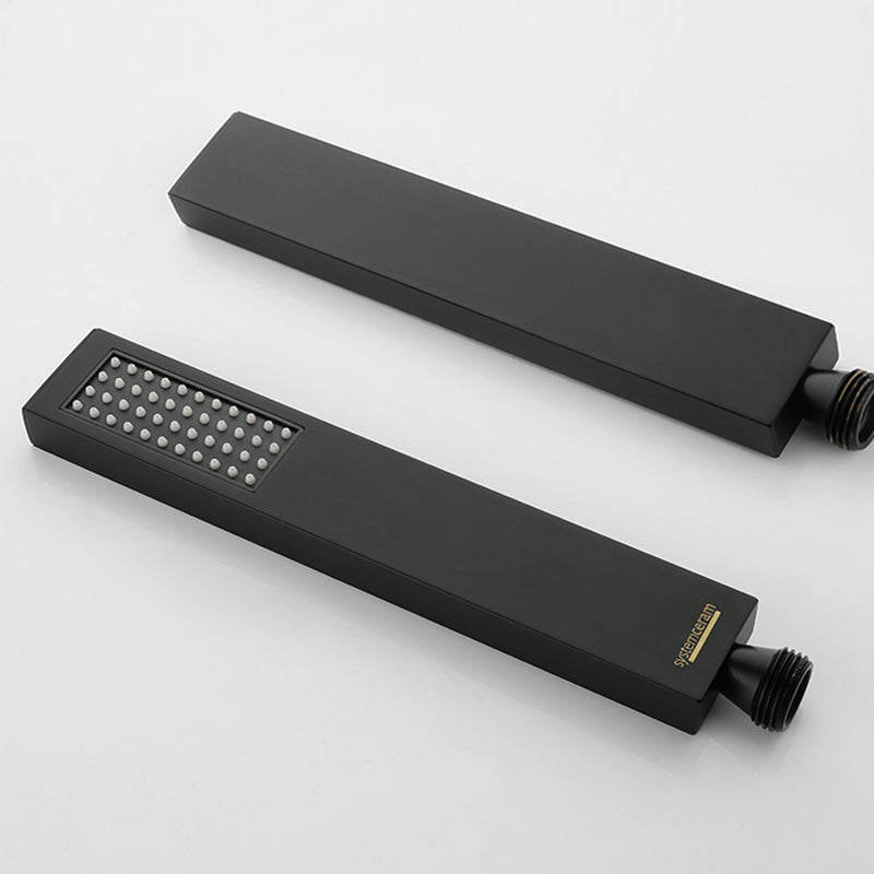 Modern Shower Faucet Adjustable Water Flow Rain Shower Head Shower System in Black Clearhalo 'Bathroom Remodel & Bathroom Fixtures' 'Home Improvement' 'home_improvement' 'home_improvement_shower_faucets' 'Shower Faucets & Systems' 'shower_faucets' 'Showers & Bathtubs Plumbing' 'Showers & Bathtubs' 6285374