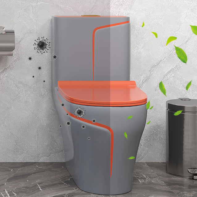 Traditional Flush Toilet Floor Mount One-Piece Toilet with Slow Close Seat Clearhalo 'Bathroom Remodel & Bathroom Fixtures' 'Home Improvement' 'home_improvement' 'home_improvement_toilets' 'Toilets & Bidets' 'Toilets' 6288390