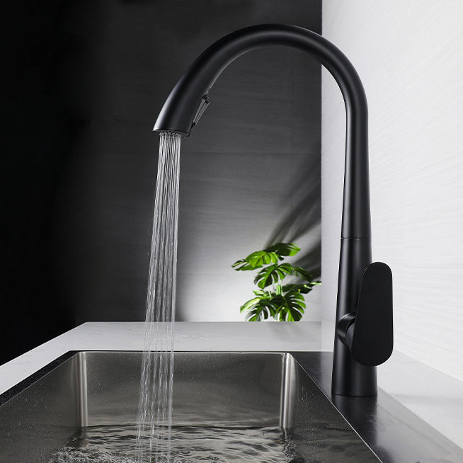 Modern Kitchen Faucet Stainless Steel Single Handle Retractable High Arc Kitchen Faucet Clearhalo 'Home Improvement' 'home_improvement' 'home_improvement_kitchen_faucets' 'Kitchen Faucets' 'Kitchen Remodel & Kitchen Fixtures' 'Kitchen Sinks & Faucet Components' 'kitchen_faucets' 6298262