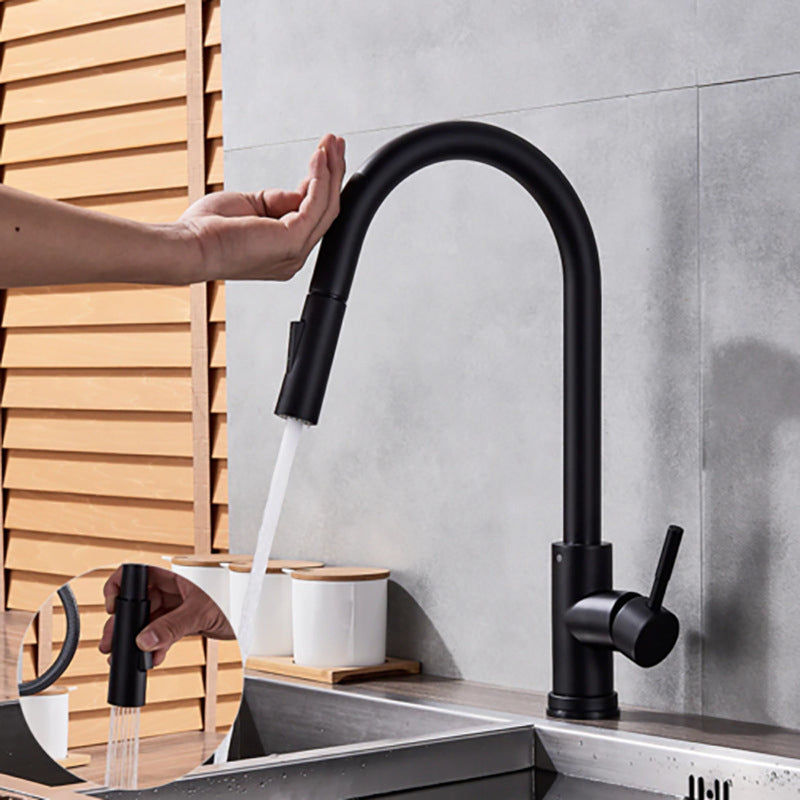 Modern Touch Kitchen Faucet Stainless Steel Single Handle Retractable Kitchen Faucet Black Clearhalo 'Home Improvement' 'home_improvement' 'home_improvement_kitchen_faucets' 'Kitchen Faucets' 'Kitchen Remodel & Kitchen Fixtures' 'Kitchen Sinks & Faucet Components' 'kitchen_faucets' 6311558