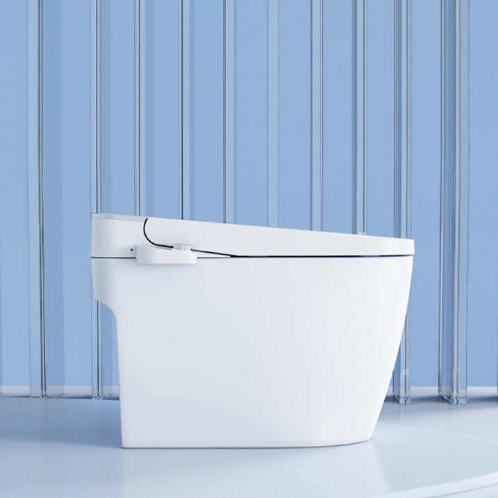 Contemporary 1-Piece Bidet Toilet Floor Mounted White Toilet Bowl for Bathroom Clearhalo 'Bathroom Remodel & Bathroom Fixtures' 'Home Improvement' 'home_improvement' 'home_improvement_toilets' 'Toilets & Bidets' 'Toilets' 6320270