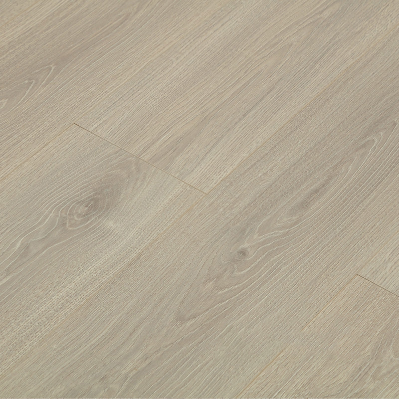 Nordic E0 Natural Solid Wood Laminate Flooring, Click Cinch Loc, Waterproof Cream Gray Clearhalo 'Flooring 'Home Improvement' 'home_improvement' 'home_improvement_laminate_flooring' 'Laminate Flooring' 'laminate_flooring' Walls and Ceiling' 6320773