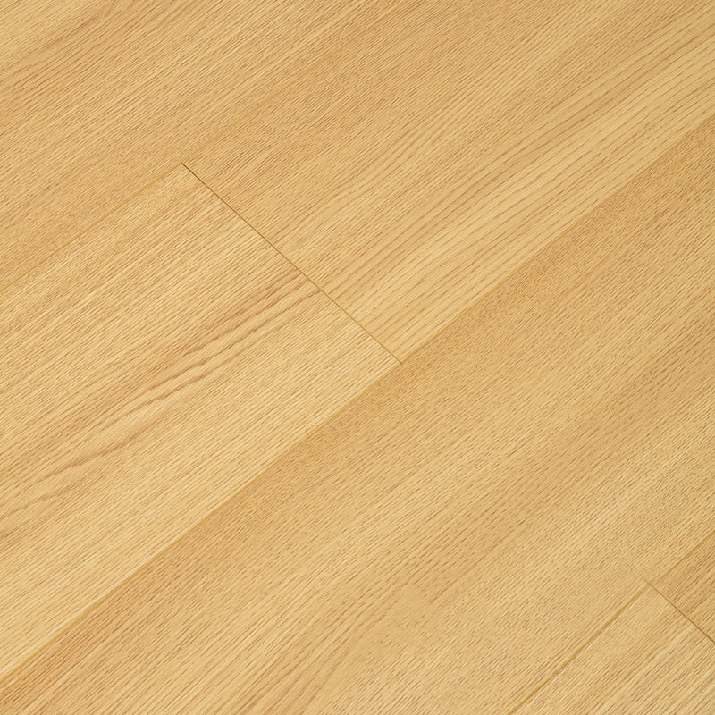 Nordic E0 Natural Solid Wood Laminate Flooring, Click Cinch Loc, Waterproof Light Yellow Clearhalo 'Flooring 'Home Improvement' 'home_improvement' 'home_improvement_laminate_flooring' 'Laminate Flooring' 'laminate_flooring' Walls and Ceiling' 6320785