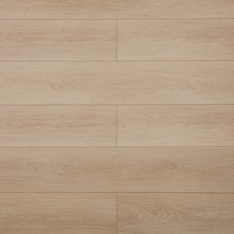 Modern 12mm Natural Solid Wood Laminate Flooring, Click-Lock, Waterproof Clearhalo 'Flooring 'Home Improvement' 'home_improvement' 'home_improvement_laminate_flooring' 'Laminate Flooring' 'laminate_flooring' Walls and Ceiling' 6320978