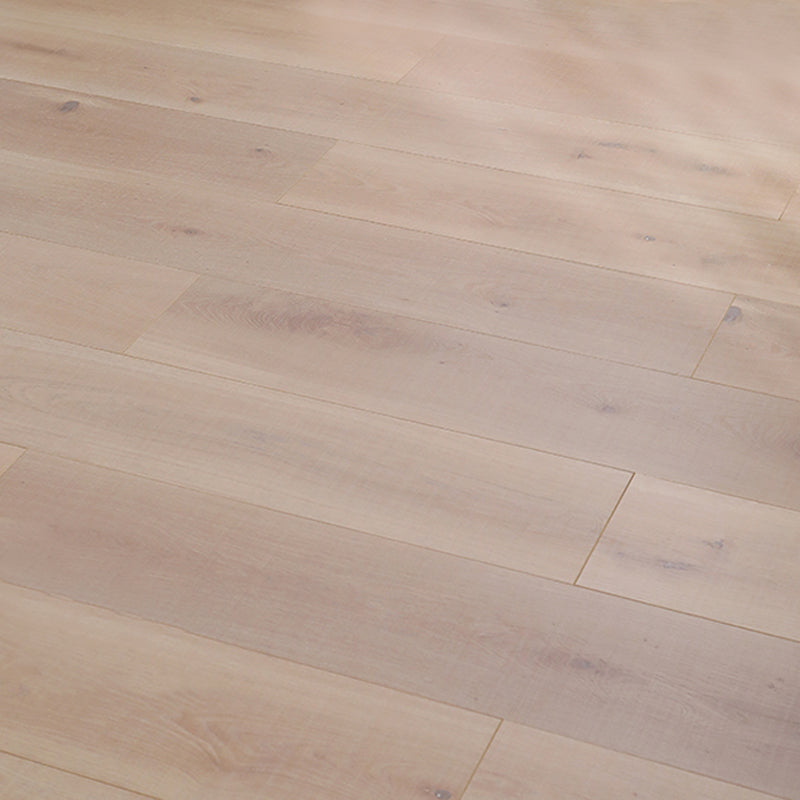 Modern 12mm Natural Solid Wood Laminate Flooring, Click-Lock, Waterproof Light Coffee Clearhalo 'Flooring 'Home Improvement' 'home_improvement' 'home_improvement_laminate_flooring' 'Laminate Flooring' 'laminate_flooring' Walls and Ceiling' 6320979