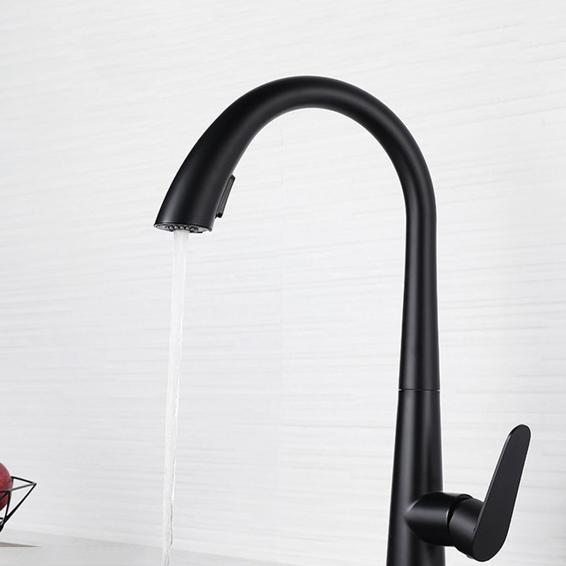 Modern Style Kitchen Faucet 304 Stainless Steel Single Handle Gooseneck Kitchen Faucet Clearhalo 'Home Improvement' 'home_improvement' 'home_improvement_kitchen_faucets' 'Kitchen Faucets' 'Kitchen Remodel & Kitchen Fixtures' 'Kitchen Sinks & Faucet Components' 'kitchen_faucets' 6327618