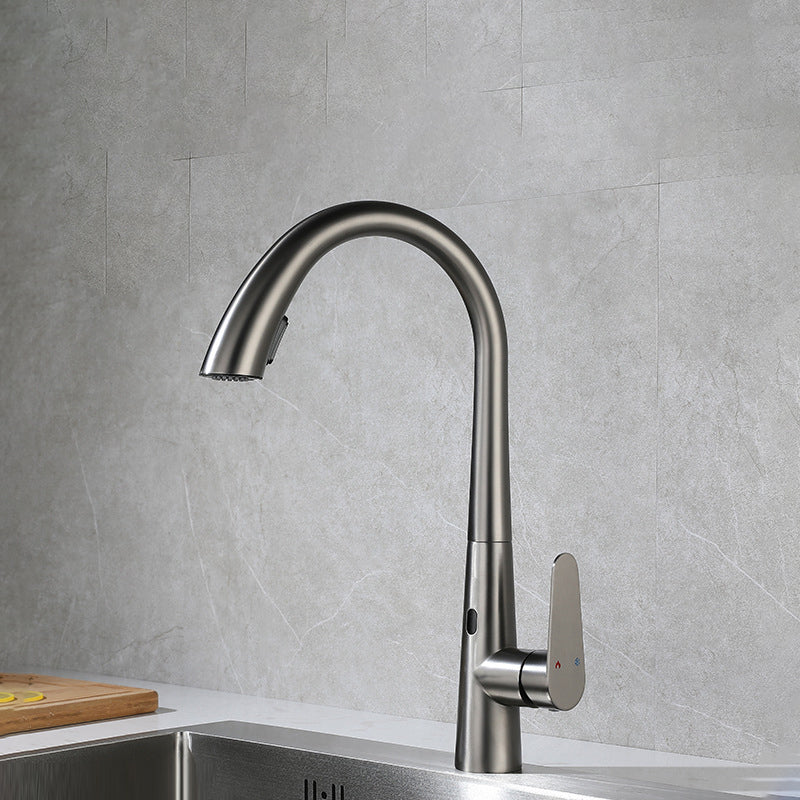 Modern Style Kitchen Faucet Stainless Steel Single Handle Gooseneck Kitchen Faucet Silver Gray Clearhalo 'Home Improvement' 'home_improvement' 'home_improvement_kitchen_faucets' 'Kitchen Faucets' 'Kitchen Remodel & Kitchen Fixtures' 'Kitchen Sinks & Faucet Components' 'kitchen_faucets' 6327635