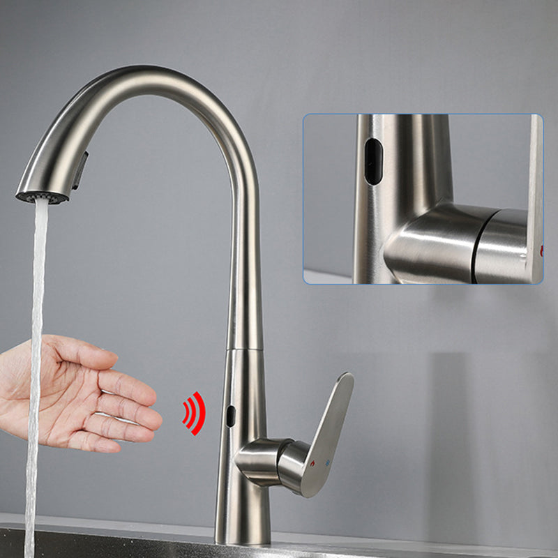 Modern Style Kitchen Faucet Stainless Steel Single Handle Gooseneck Kitchen Faucet Clearhalo 'Home Improvement' 'home_improvement' 'home_improvement_kitchen_faucets' 'Kitchen Faucets' 'Kitchen Remodel & Kitchen Fixtures' 'Kitchen Sinks & Faucet Components' 'kitchen_faucets' 6327638
