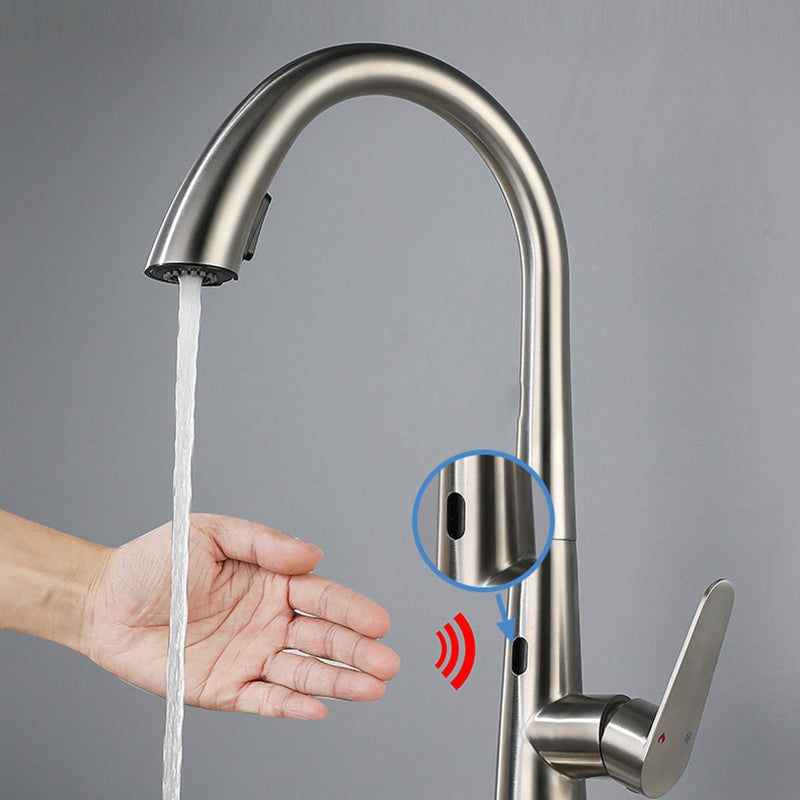Modern Style Kitchen Faucet Stainless Steel Single Handle Gooseneck Kitchen Faucet Clearhalo 'Home Improvement' 'home_improvement' 'home_improvement_kitchen_faucets' 'Kitchen Faucets' 'Kitchen Remodel & Kitchen Fixtures' 'Kitchen Sinks & Faucet Components' 'kitchen_faucets' 6327643