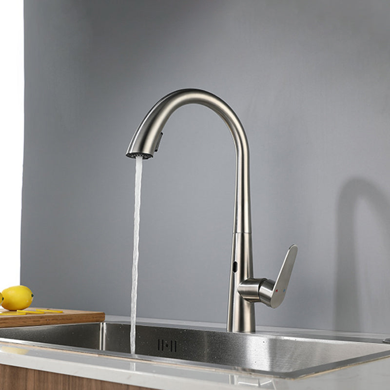 Modern Style Kitchen Faucet Stainless Steel Single Handle Gooseneck Kitchen Faucet Clearhalo 'Home Improvement' 'home_improvement' 'home_improvement_kitchen_faucets' 'Kitchen Faucets' 'Kitchen Remodel & Kitchen Fixtures' 'Kitchen Sinks & Faucet Components' 'kitchen_faucets' 6327647