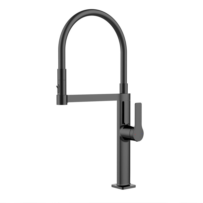 Modern Kitchen Sink Faucet Stainless Steel Single Handle High Arc Kitchen Faucet Black Clearhalo 'Home Improvement' 'home_improvement' 'home_improvement_kitchen_faucets' 'Kitchen Faucets' 'Kitchen Remodel & Kitchen Fixtures' 'Kitchen Sinks & Faucet Components' 'kitchen_faucets' 6327677