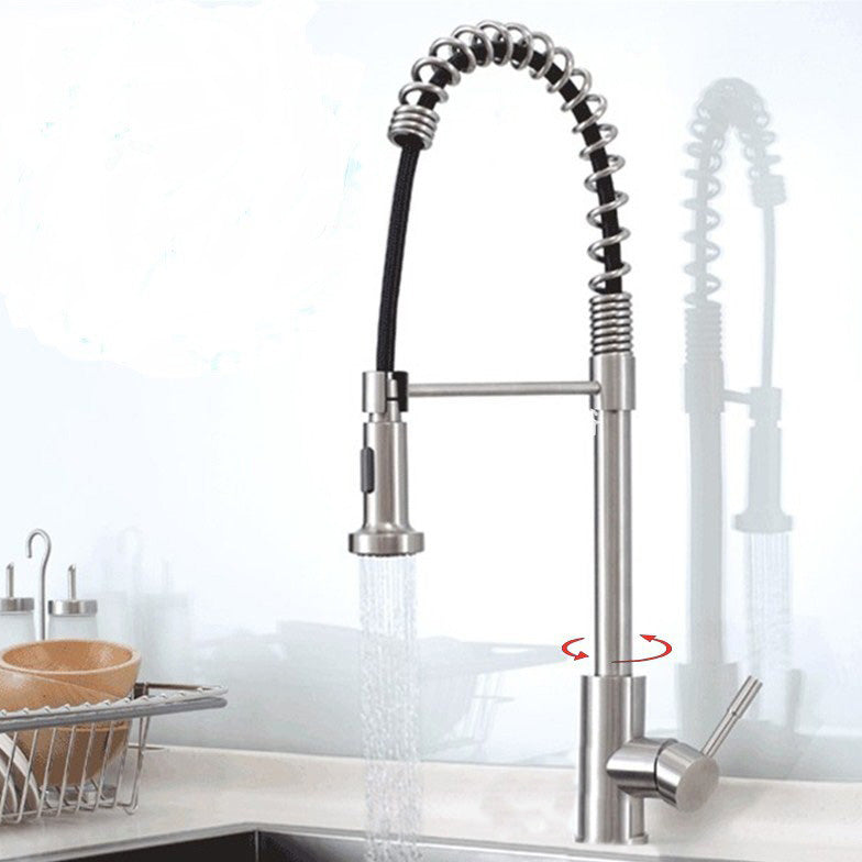 Modern Spring Spout Faucets 1-Handle 1-Hole with Water Dispenser Standard Kitchen Faucets Clearhalo 'Home Improvement' 'home_improvement' 'home_improvement_kitchen_faucets' 'Kitchen Faucets' 'Kitchen Remodel & Kitchen Fixtures' 'Kitchen Sinks & Faucet Components' 'kitchen_faucets' 6327686