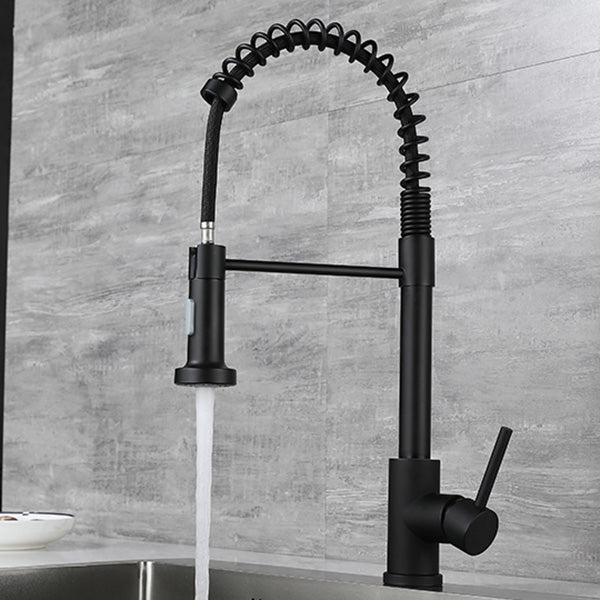 Modern Spring Spout Faucets 1-Handle 1-Hole with Water Dispenser Standard Kitchen Faucets Black Clearhalo 'Home Improvement' 'home_improvement' 'home_improvement_kitchen_faucets' 'Kitchen Faucets' 'Kitchen Remodel & Kitchen Fixtures' 'Kitchen Sinks & Faucet Components' 'kitchen_faucets' 6327687