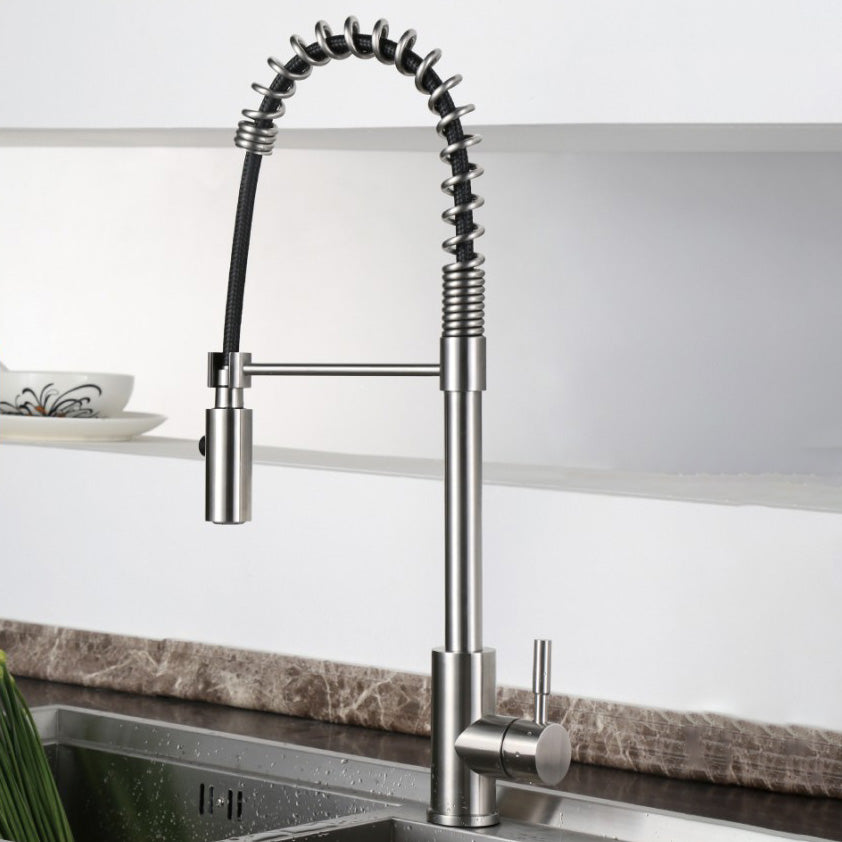 Modern Spring Spout Faucets 1-Handle 1-Hole with Water Dispenser Standard Kitchen Faucets Silver Clearhalo 'Home Improvement' 'home_improvement' 'home_improvement_kitchen_faucets' 'Kitchen Faucets' 'Kitchen Remodel & Kitchen Fixtures' 'Kitchen Sinks & Faucet Components' 'kitchen_faucets' 6327688