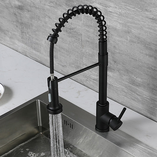 Modern Spring Spout Faucets 1-Handle 1-Hole with Water Dispenser Standard Kitchen Faucets Clearhalo 'Home Improvement' 'home_improvement' 'home_improvement_kitchen_faucets' 'Kitchen Faucets' 'Kitchen Remodel & Kitchen Fixtures' 'Kitchen Sinks & Faucet Components' 'kitchen_faucets' 6327690
