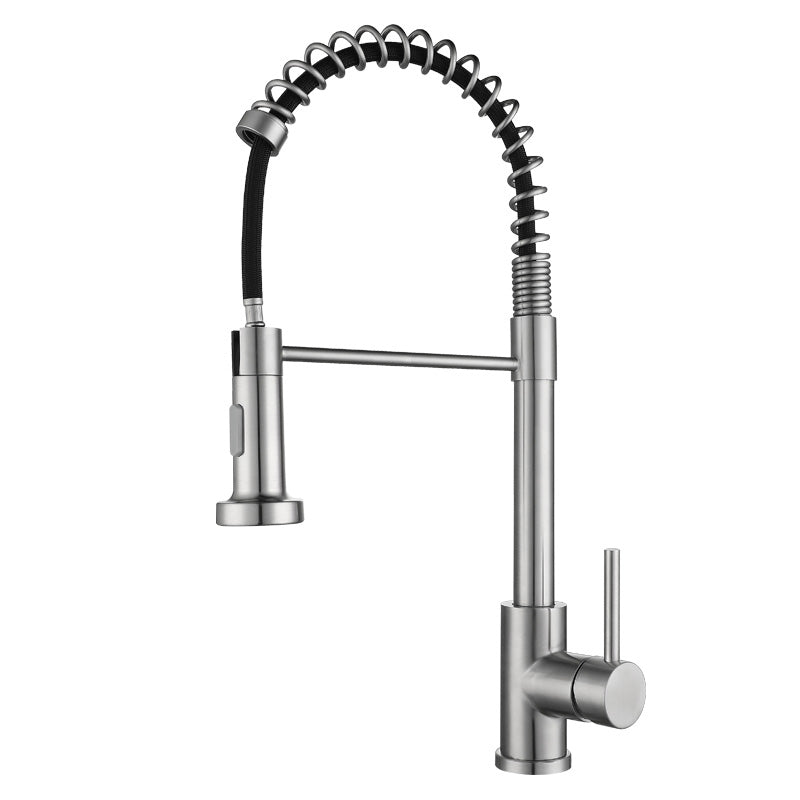 Modern Spring Spout Faucets 1-Handle 1-Hole with Water Dispenser Standard Kitchen Faucets Clearhalo 'Home Improvement' 'home_improvement' 'home_improvement_kitchen_faucets' 'Kitchen Faucets' 'Kitchen Remodel & Kitchen Fixtures' 'Kitchen Sinks & Faucet Components' 'kitchen_faucets' 6327692