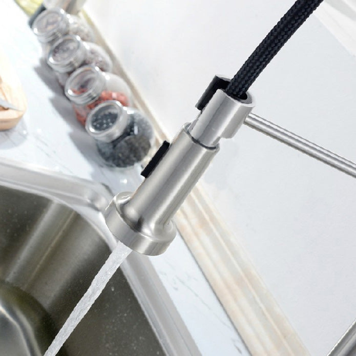 Modern Spring Spout Faucets 1-Handle 1-Hole with Water Dispenser Standard Kitchen Faucets Clearhalo 'Home Improvement' 'home_improvement' 'home_improvement_kitchen_faucets' 'Kitchen Faucets' 'Kitchen Remodel & Kitchen Fixtures' 'Kitchen Sinks & Faucet Components' 'kitchen_faucets' 6327693