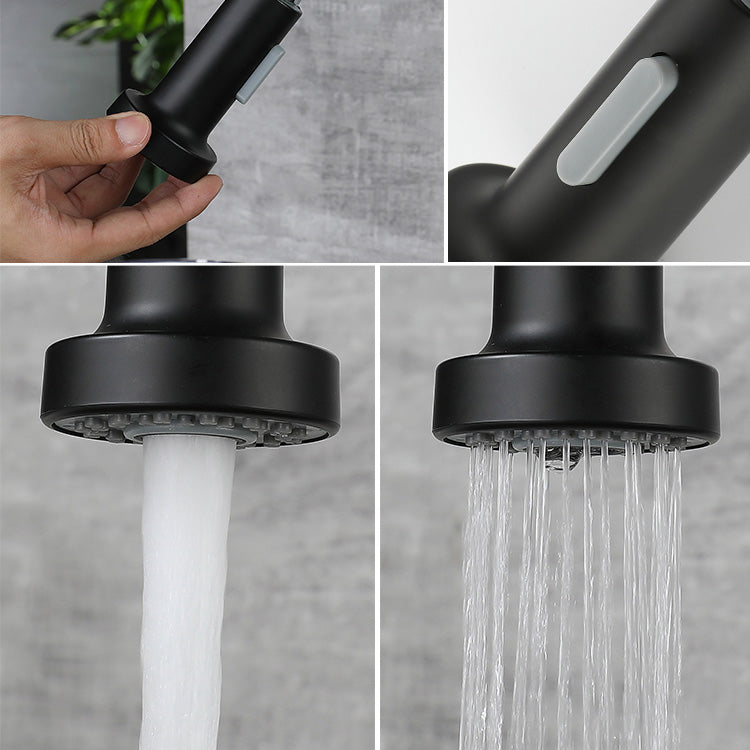 Modern Spring Spout Faucets 1-Handle 1-Hole with Water Dispenser Standard Kitchen Faucets Clearhalo 'Home Improvement' 'home_improvement' 'home_improvement_kitchen_faucets' 'Kitchen Faucets' 'Kitchen Remodel & Kitchen Fixtures' 'Kitchen Sinks & Faucet Components' 'kitchen_faucets' 6327695