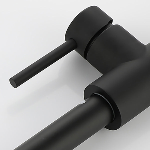 Modern Spring Spout Faucets 1-Handle 1-Hole with Water Dispenser Standard Kitchen Faucets Clearhalo 'Home Improvement' 'home_improvement' 'home_improvement_kitchen_faucets' 'Kitchen Faucets' 'Kitchen Remodel & Kitchen Fixtures' 'Kitchen Sinks & Faucet Components' 'kitchen_faucets' 6327697