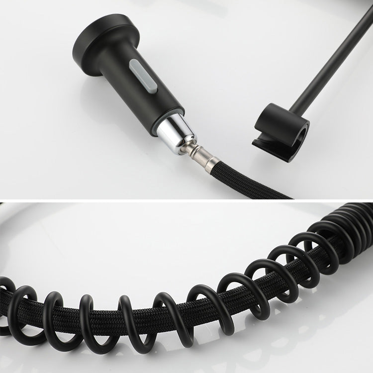 Modern Spring Spout Faucets 1-Handle 1-Hole with Water Dispenser Standard Kitchen Faucets Clearhalo 'Home Improvement' 'home_improvement' 'home_improvement_kitchen_faucets' 'Kitchen Faucets' 'Kitchen Remodel & Kitchen Fixtures' 'Kitchen Sinks & Faucet Components' 'kitchen_faucets' 6327698