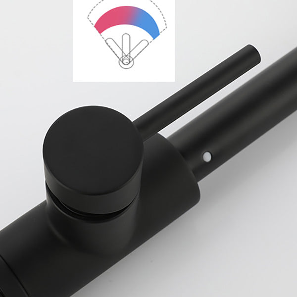 Modern Spring Spout Faucets 1-Handle 1-Hole with Water Dispenser Standard Kitchen Faucets Clearhalo 'Home Improvement' 'home_improvement' 'home_improvement_kitchen_faucets' 'Kitchen Faucets' 'Kitchen Remodel & Kitchen Fixtures' 'Kitchen Sinks & Faucet Components' 'kitchen_faucets' 6327699